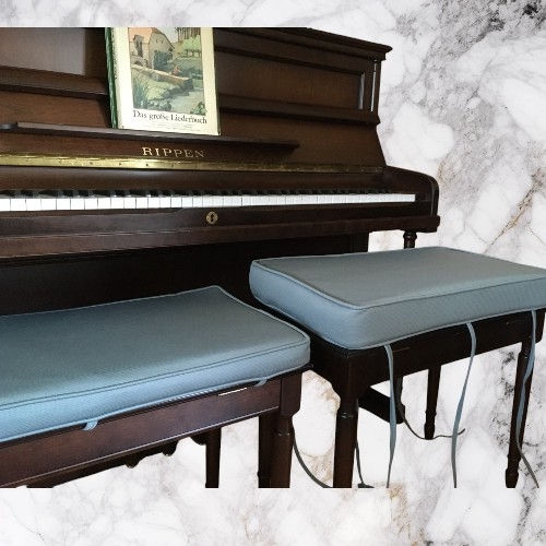 Piano Bench Cushion: Mineral Blue Piped Welting Pad