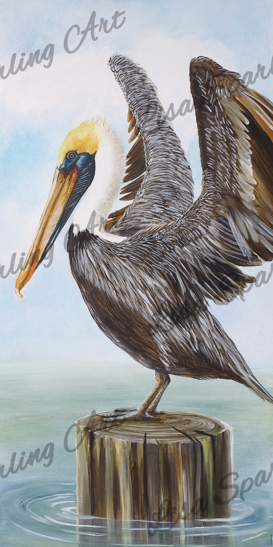 Wall Art Brown Pelican Outstretched Wings Nautical Wildlife