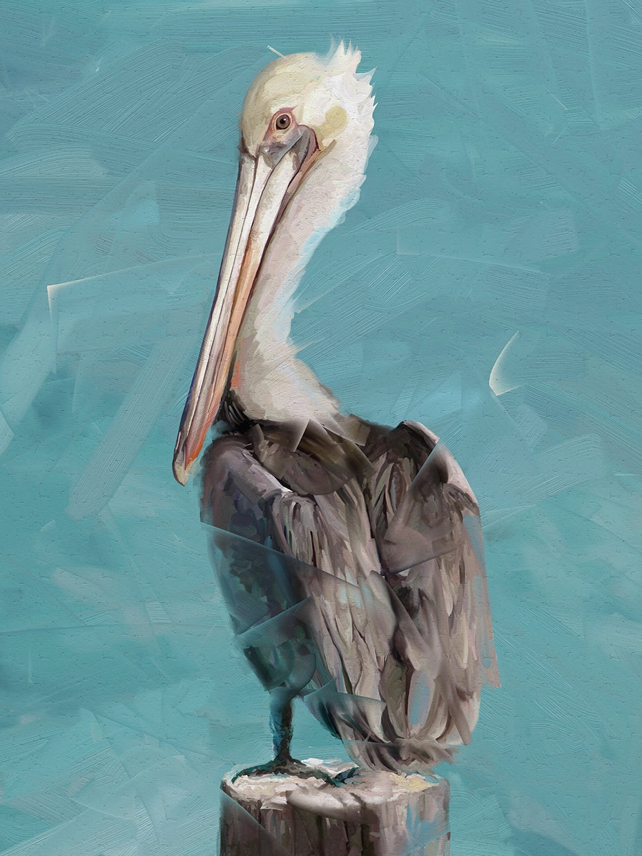 Wall Art Painterly Pelican Teal Canvas Modern Beach House