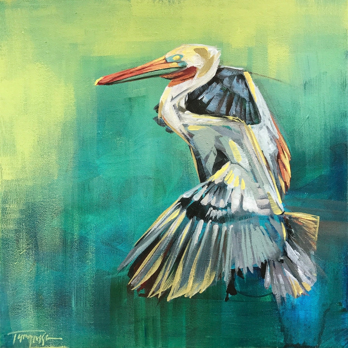 Pelican Artwork