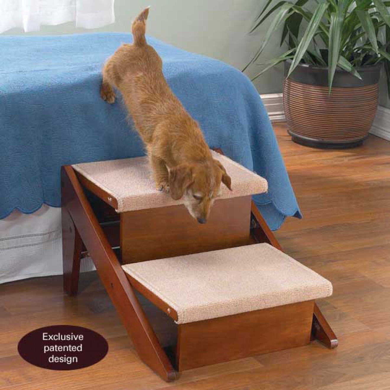 Bed stairs for large clearance dogs