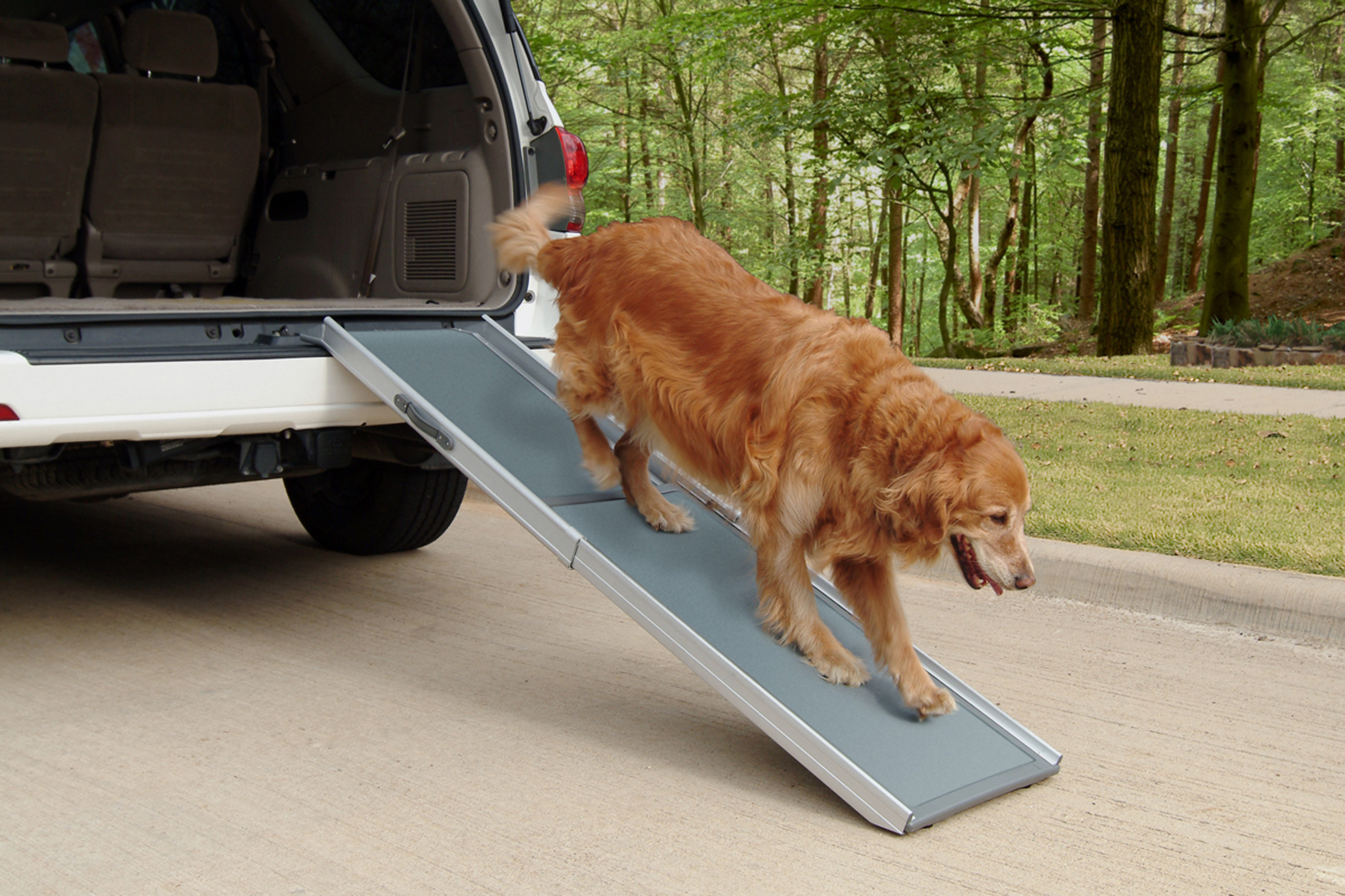 Deluxe Telescoping 72" Pet Ramp