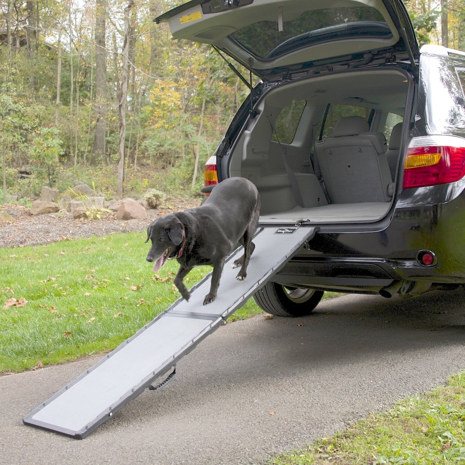 Feather-Lite 72" Pet Ramp