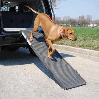 Folding 70" Pet Ramp