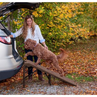 Free Standing Extra Wide Carpeted 55" Pet Ramp