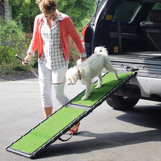Natural-Step 72" Pet Ramp