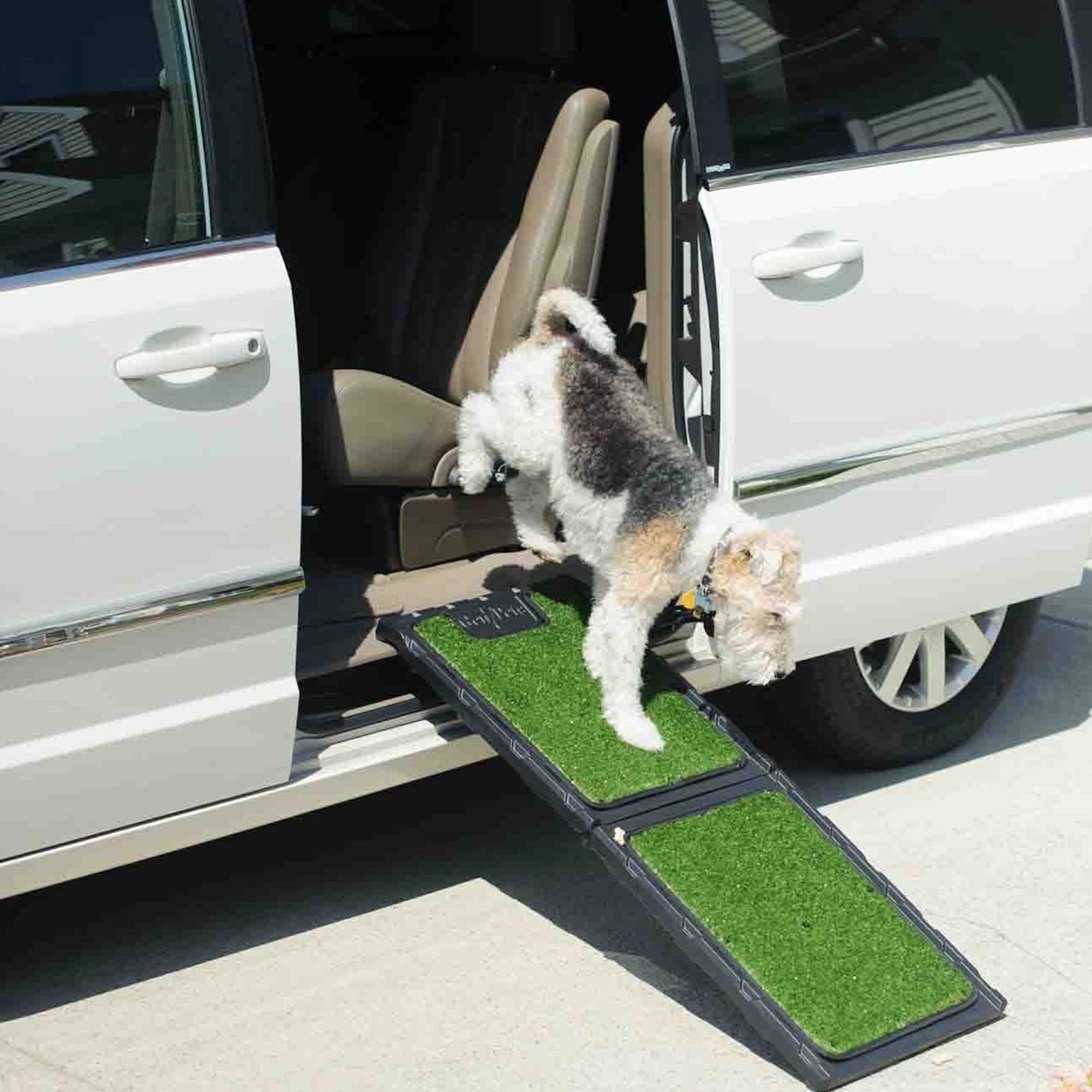 Natural-Step Mini 42" Pet Ramp
