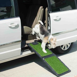 Natural-Step Mini 42" Pet Ramp