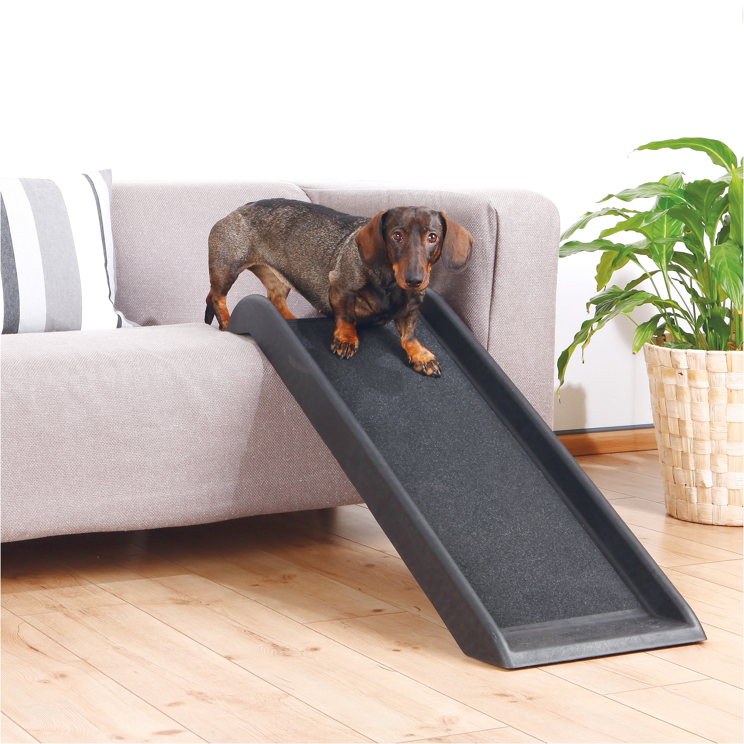 Safety 39" Pet Ramp