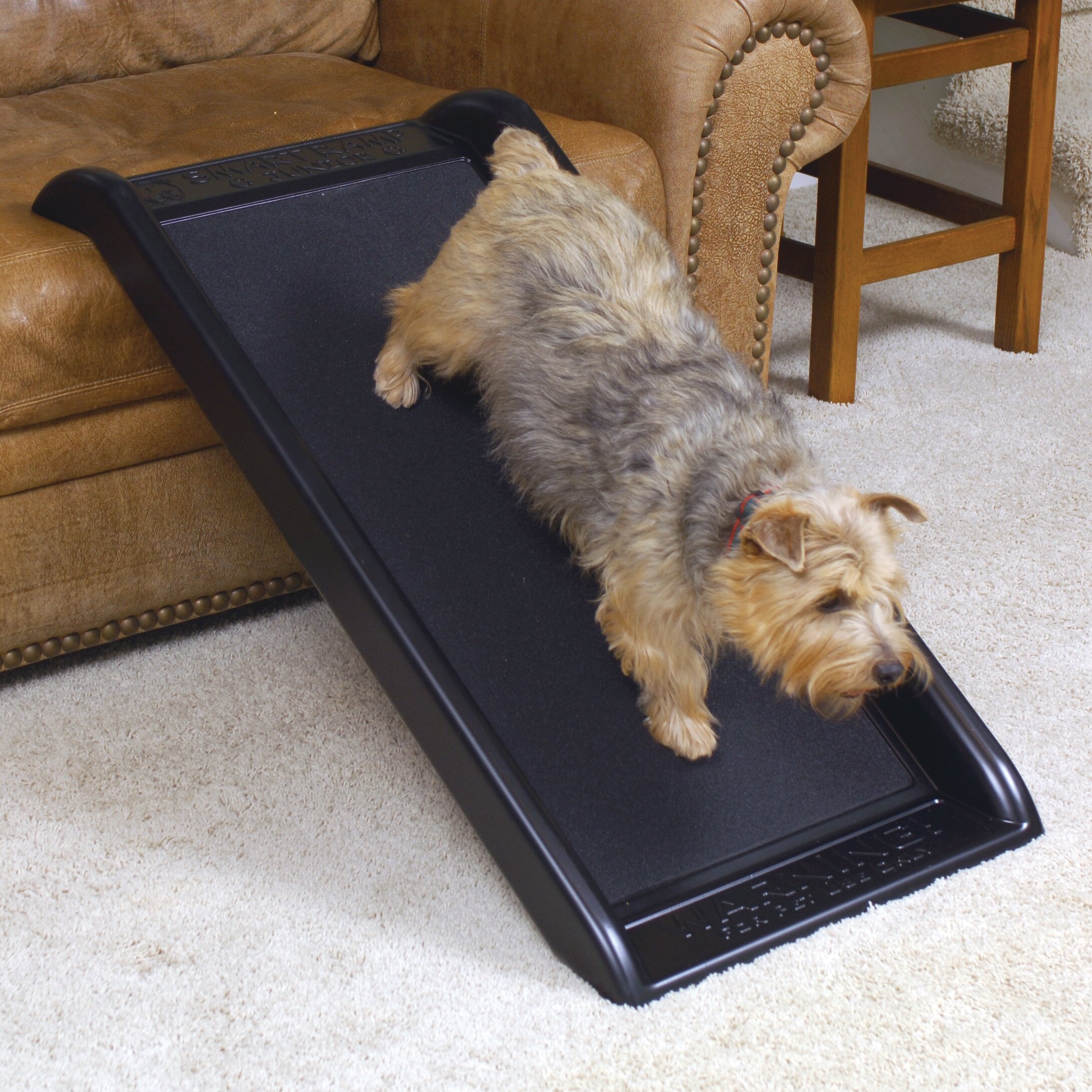 Smart Junior 39.5" Pet Ramp