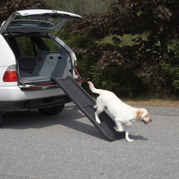 Vehicle 62" Pet Ramp