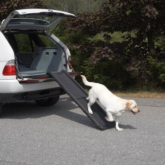 Vehicle 62" Pet Ramp