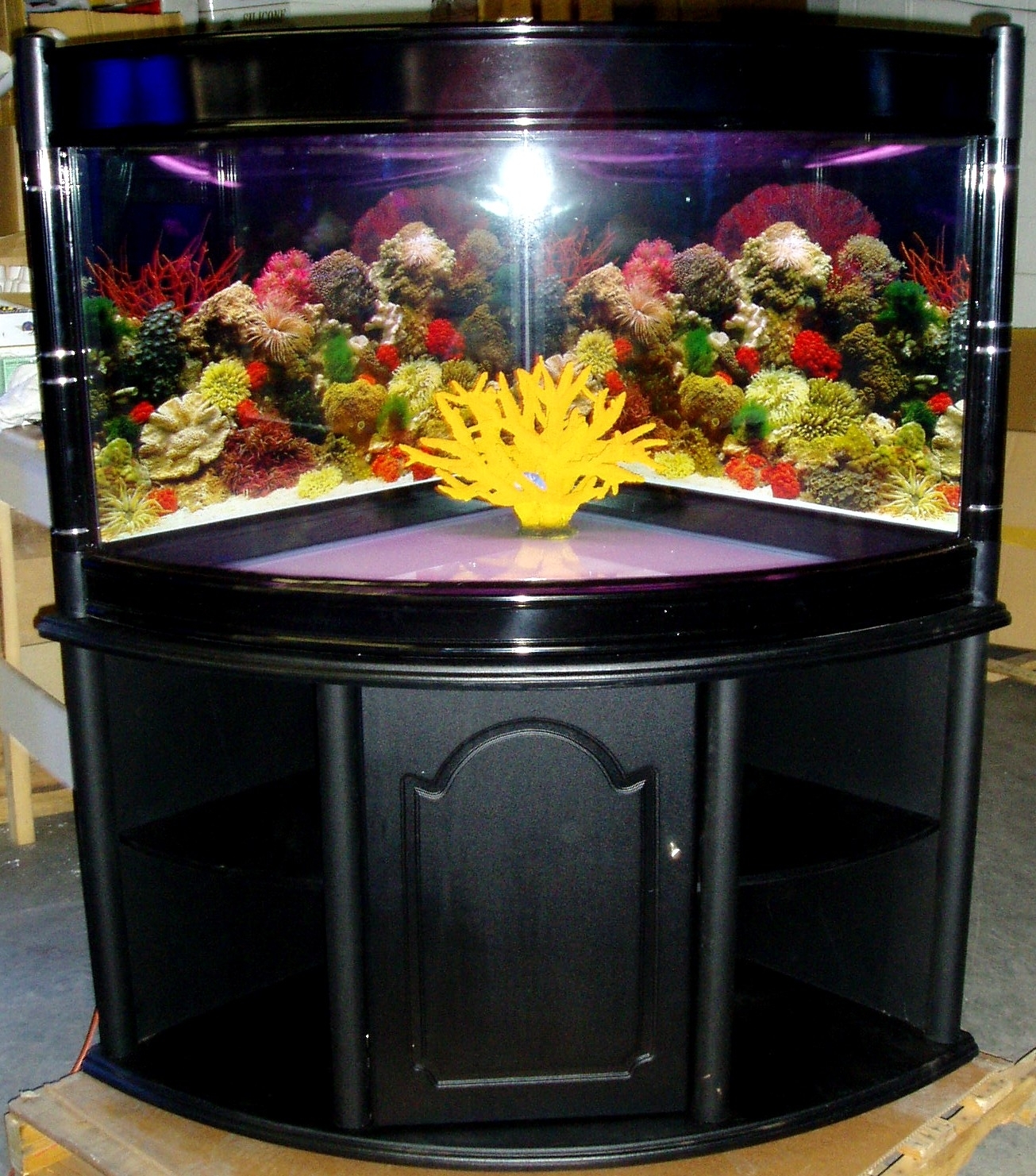 Penn-Plax Water World Luxury Large Bow Front Acrylic Aquarium with