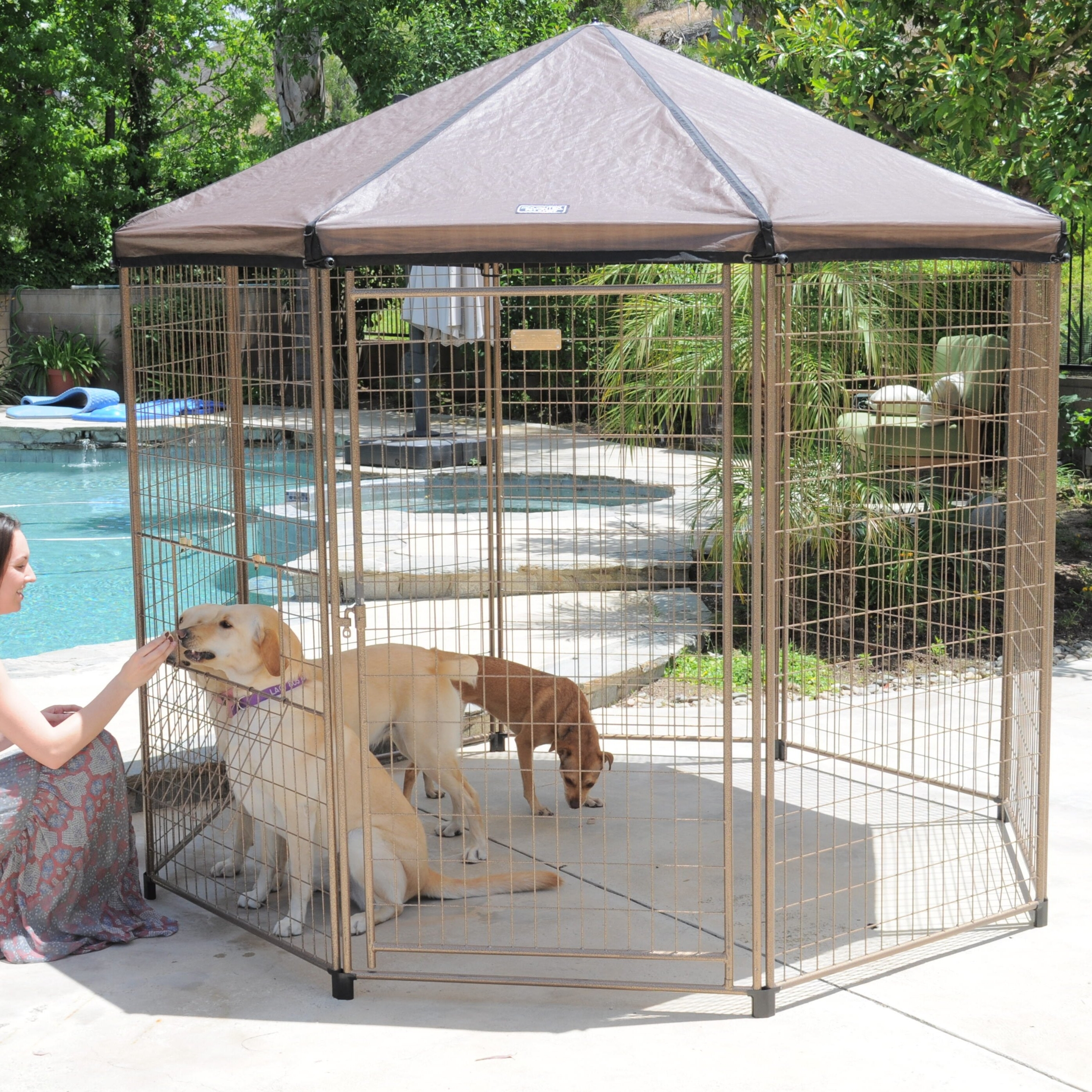 collapsible dog run